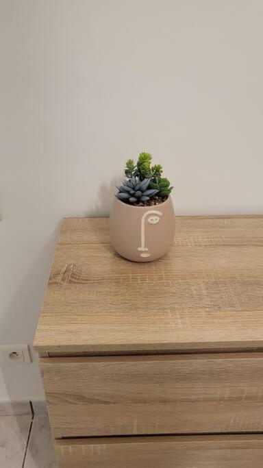 פרפיניין Appartement Chaleureux, Proche De La Gare מראה חיצוני תמונה